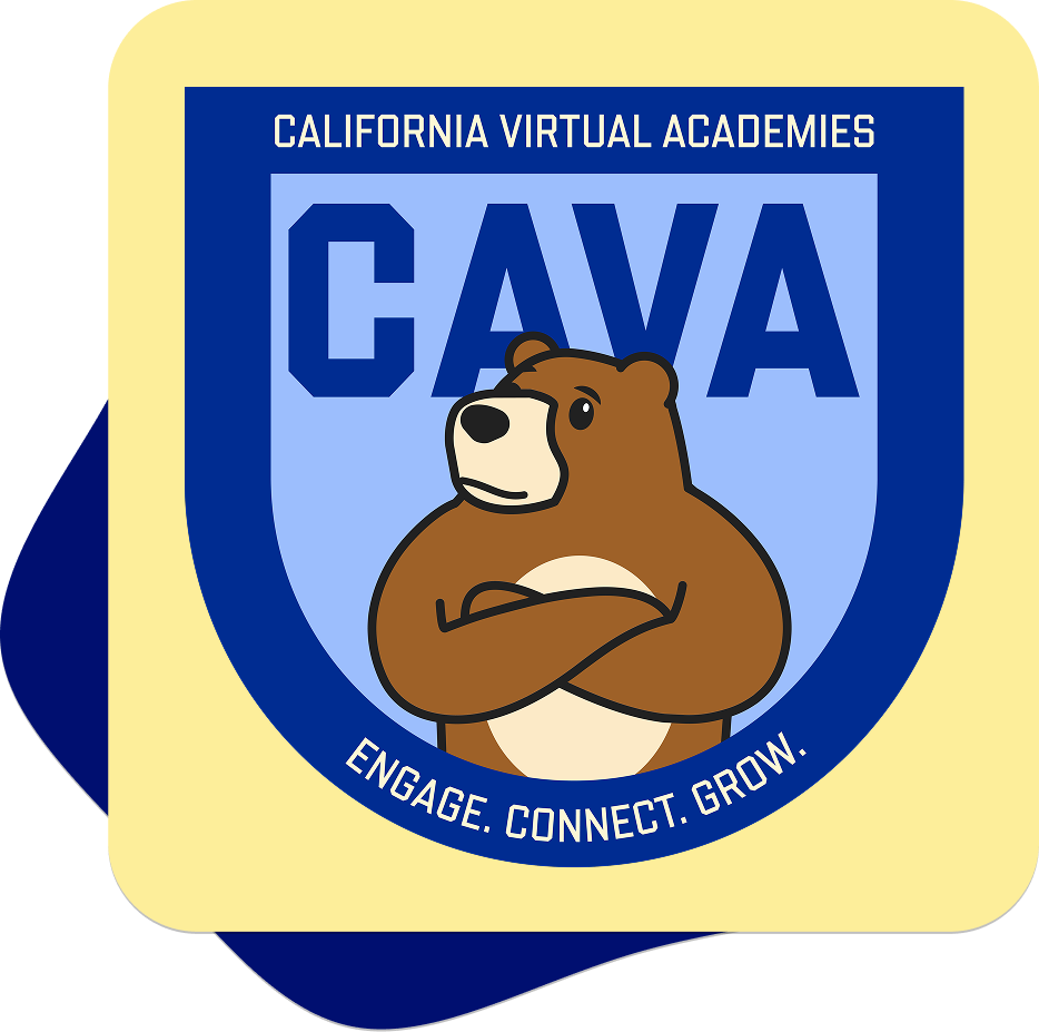 CAVA Bear mascot image